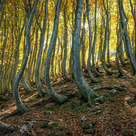 Locanda Della Rocca سارنانو المظهر الخارجي الصورة