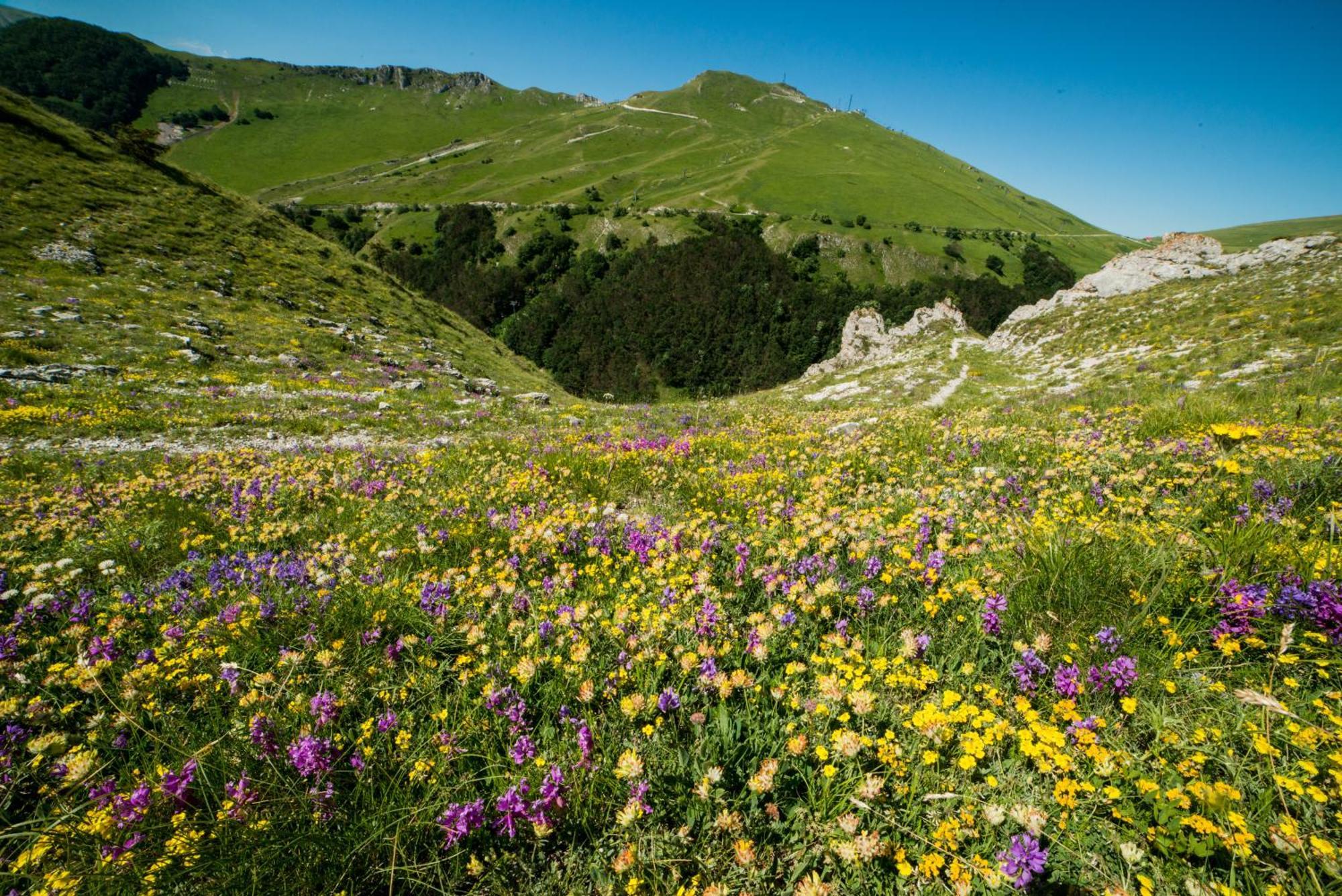 Locanda Della Rocca سارنانو المظهر الخارجي الصورة
